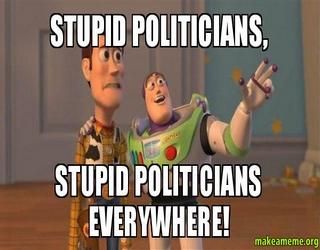 Why do we have politicians who make stupid decisions ?