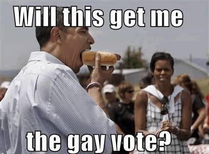 obama - gay vote