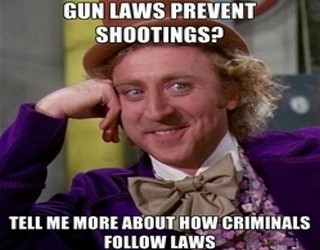 Gun control law in America in 2013