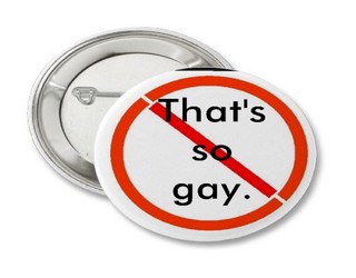Multidimensionality of the word 'gay'