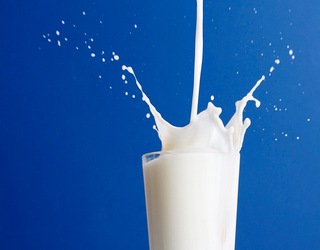 Is milk healthy ?