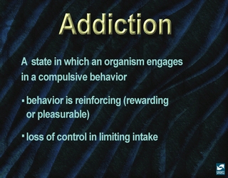 Investigate and study about addictions to prevent yourself suffering and pain